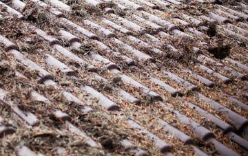 Headon roof cleaning companies